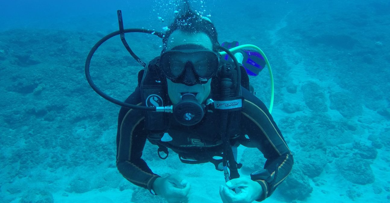 DCIM100GOPROGOPR0355.